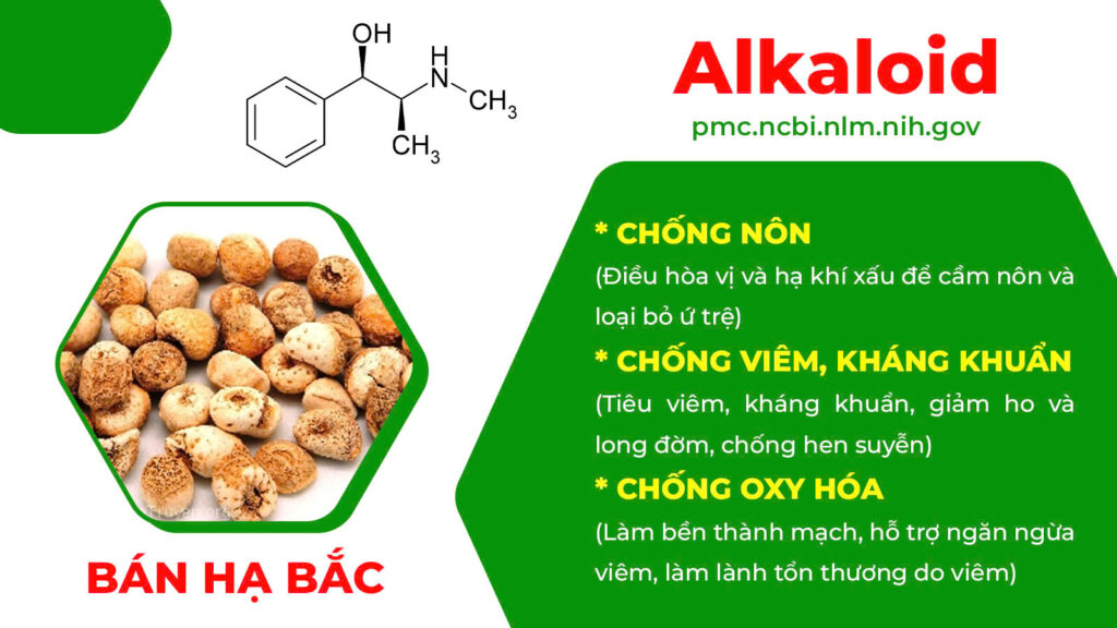 Thành phần hoá học thuốc hen suyễn