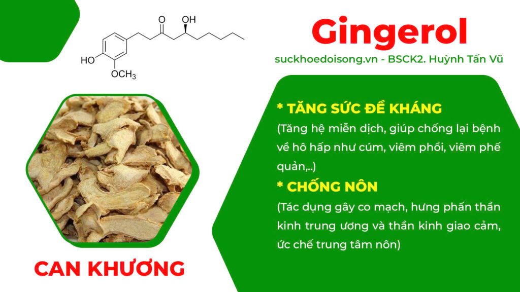 Thành phần hoá học thuốc hen suyễn