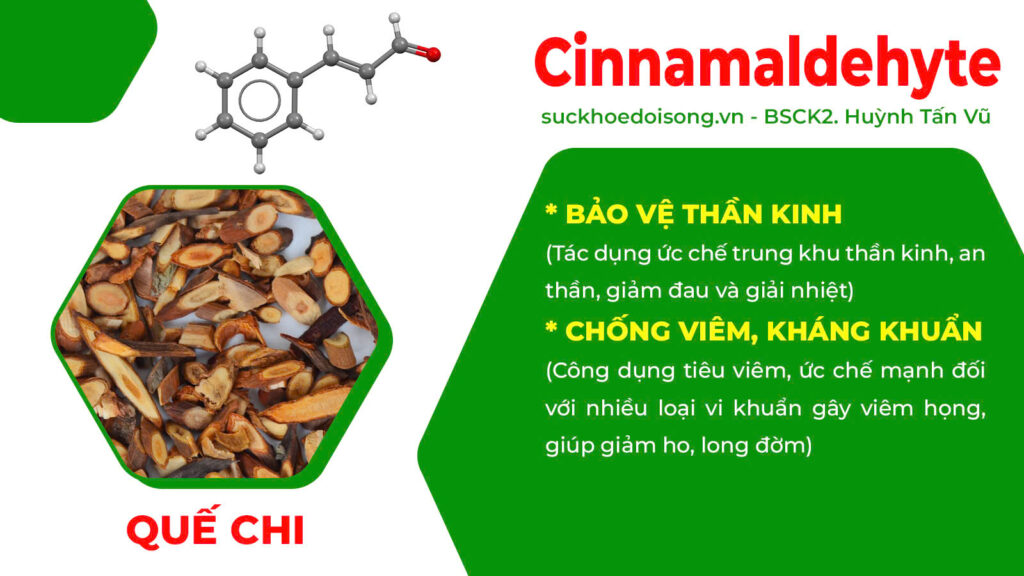 Thành phần hoá học thuốc hen suyễn