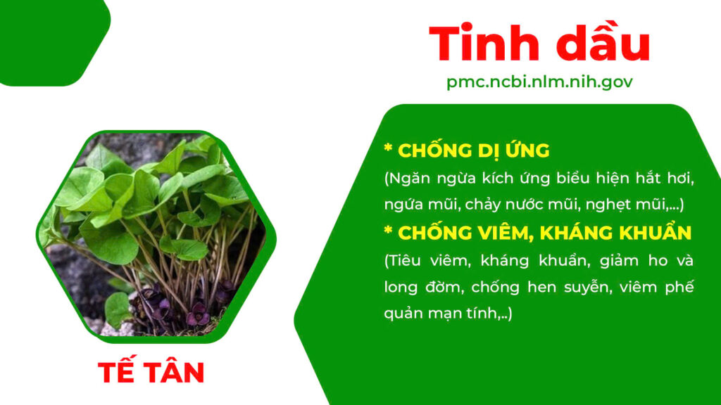 Thành phần hoá học thuốc hen suyễn