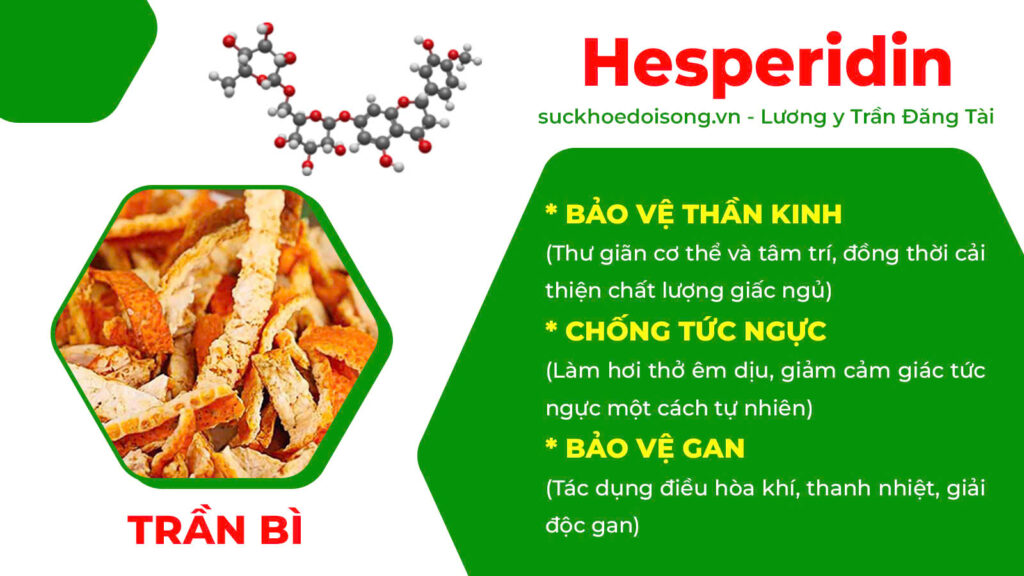 Thành phần hoá học thuốc hen suyễn