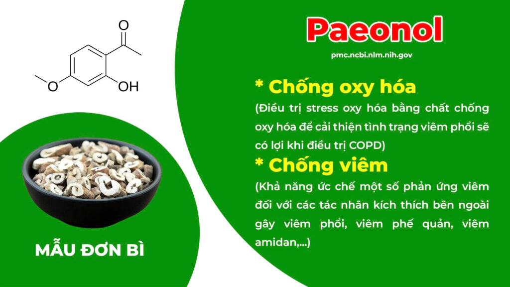 Dược phẩm PQA