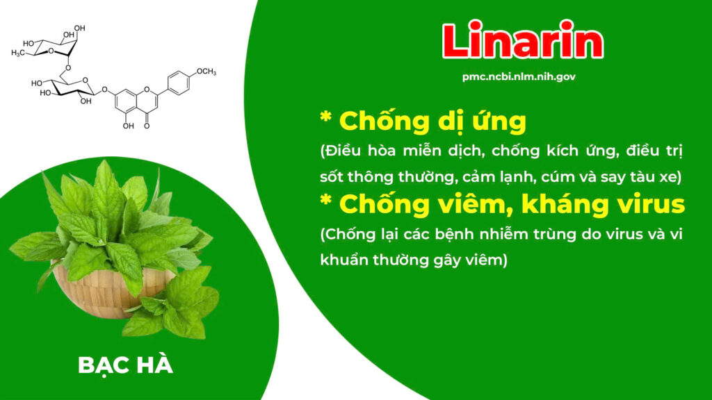 Dược phẩm PQA