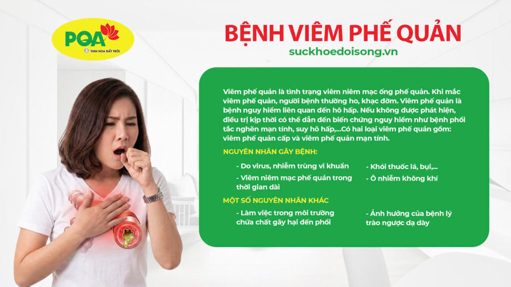 Thành phần hoá học phế quản viên nang