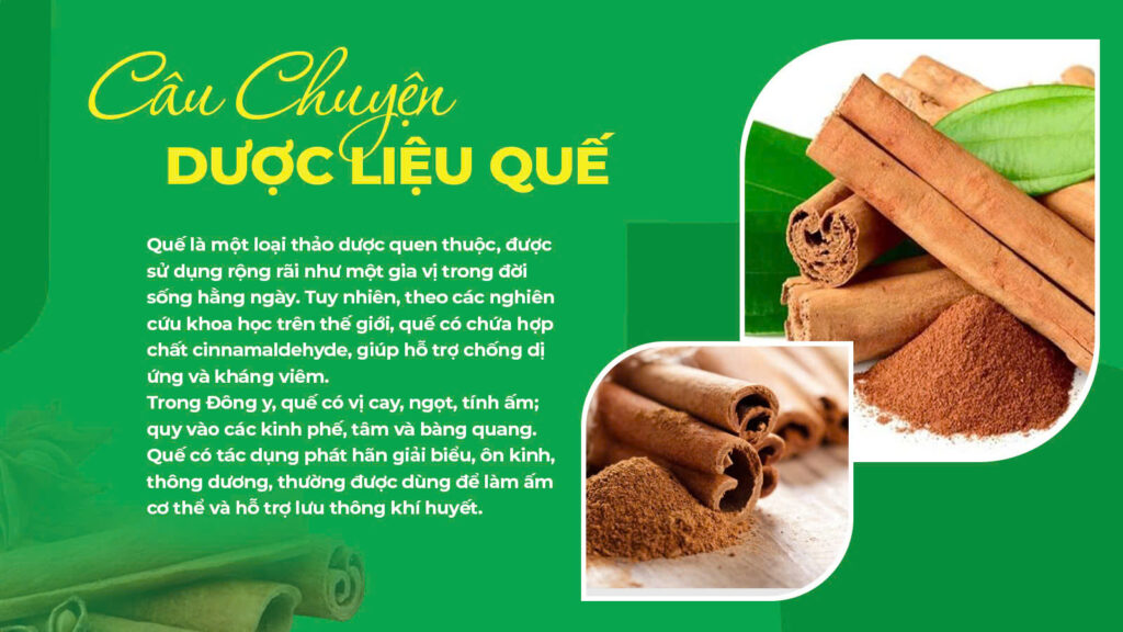 Thành phần hoá học phế quản viên nang