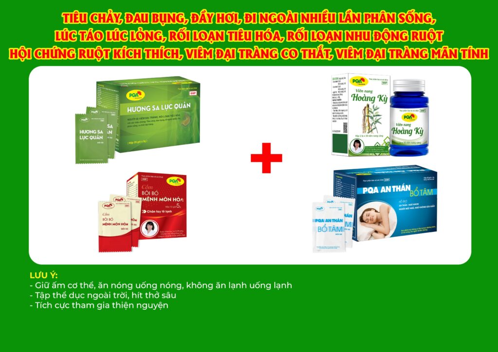 Kết hợp 4 sản phẩm Hương sa lục quân