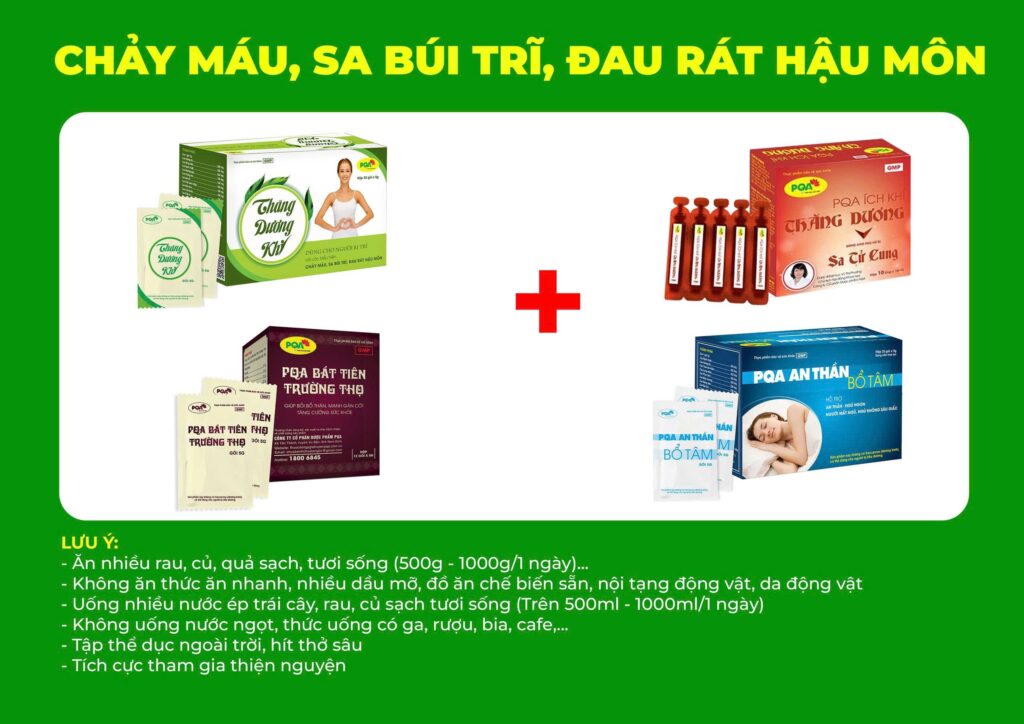 Kết hợp 4 sản phẩm thăng dương khí 