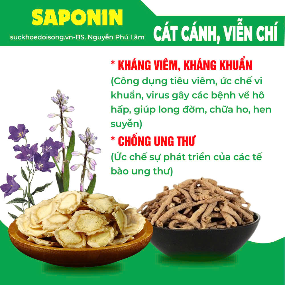 Thành phần hoá học Hoàng Kim 