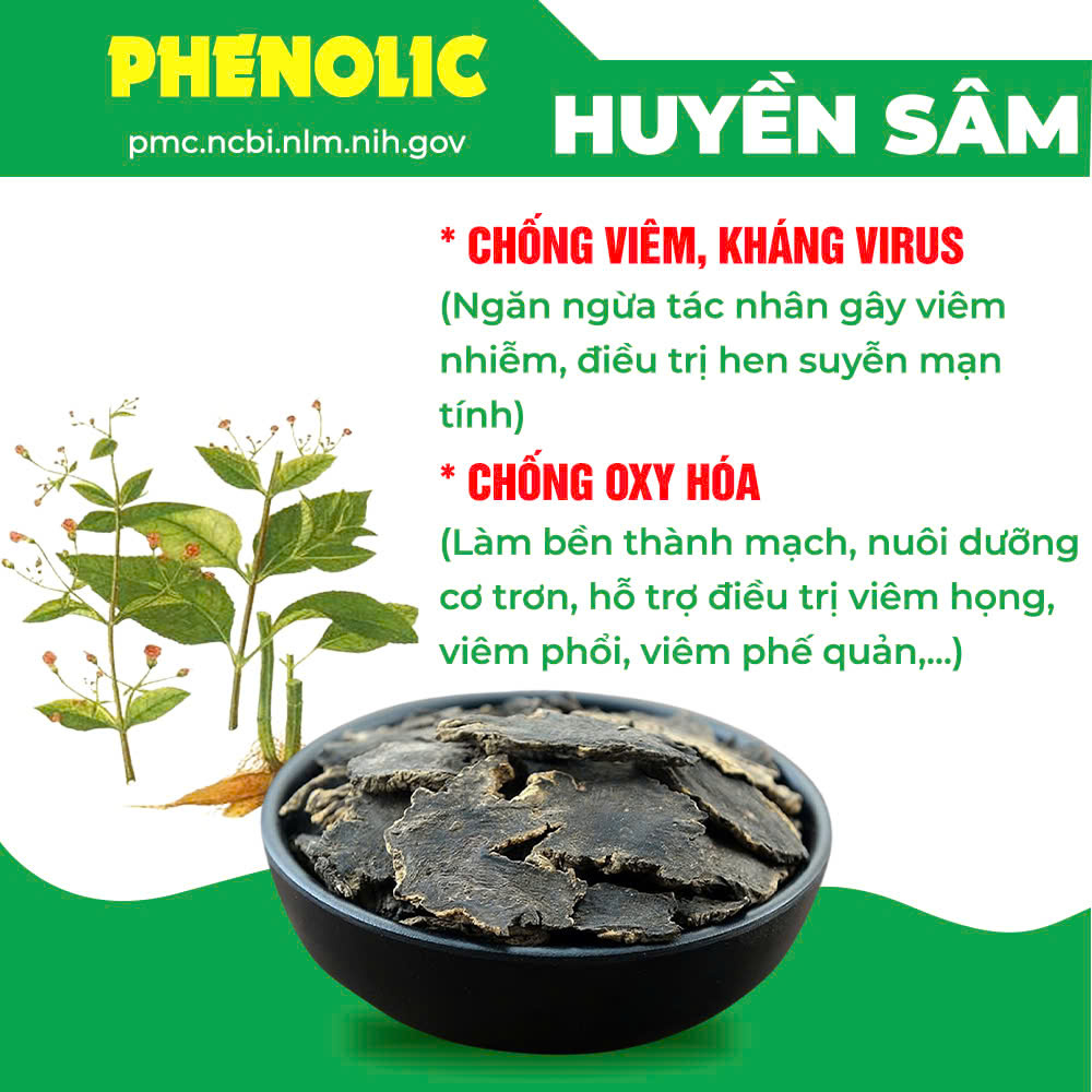 Thành phần hoá học Hoàng Kim 