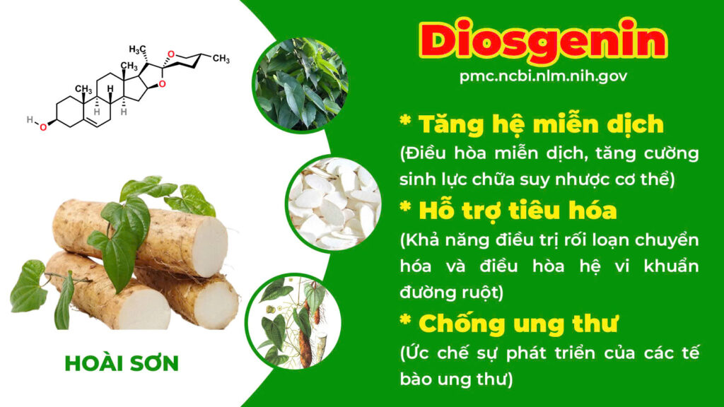 Thành phần hoá học Nhuận tràng 