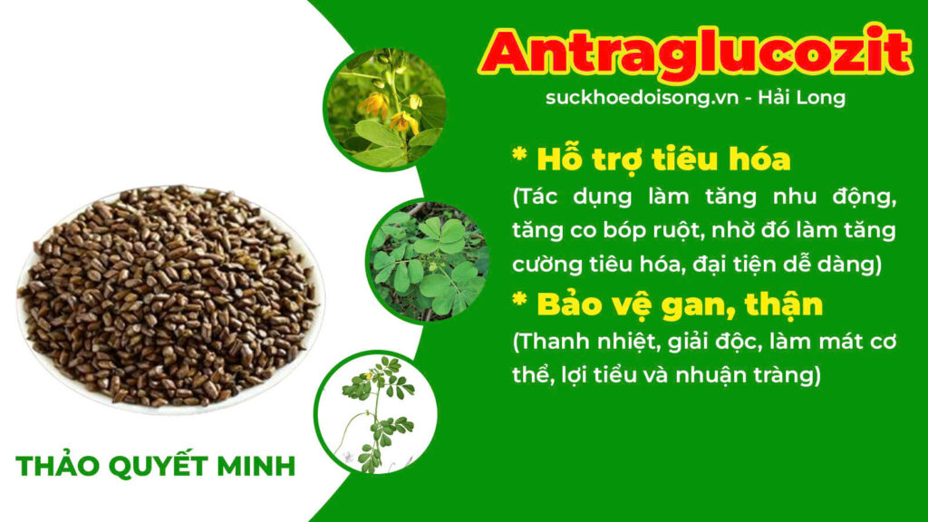 Thành phần hoá học Nhuận tràng