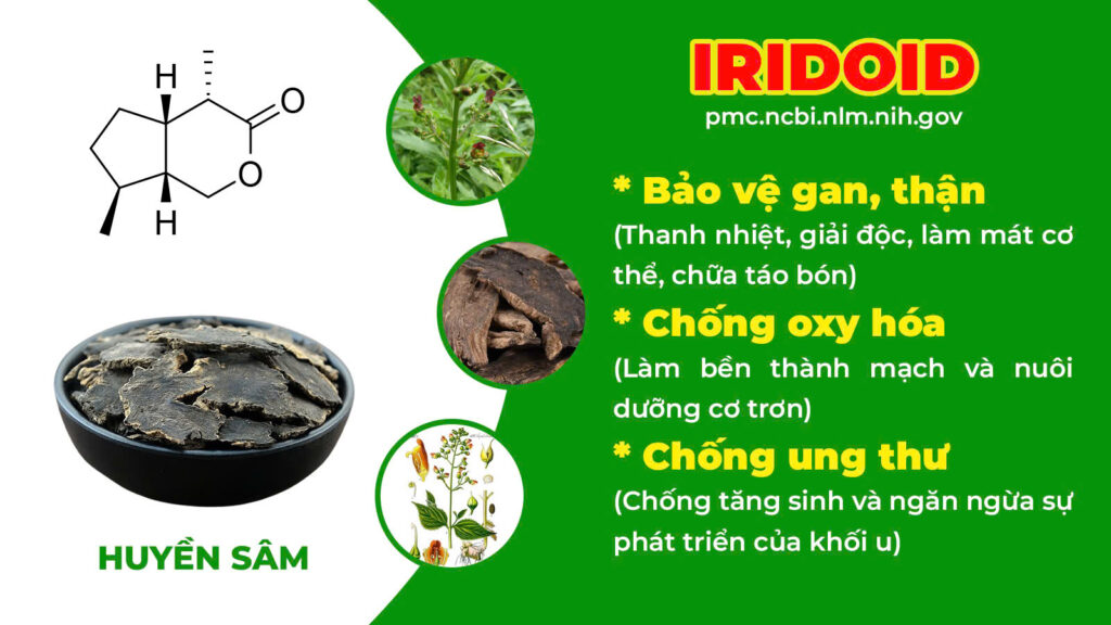 Thành phần hoá học Nhuận tràng 