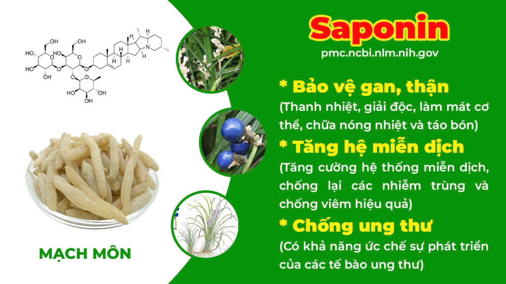 Thành phần hoá học Nhuận tràng 