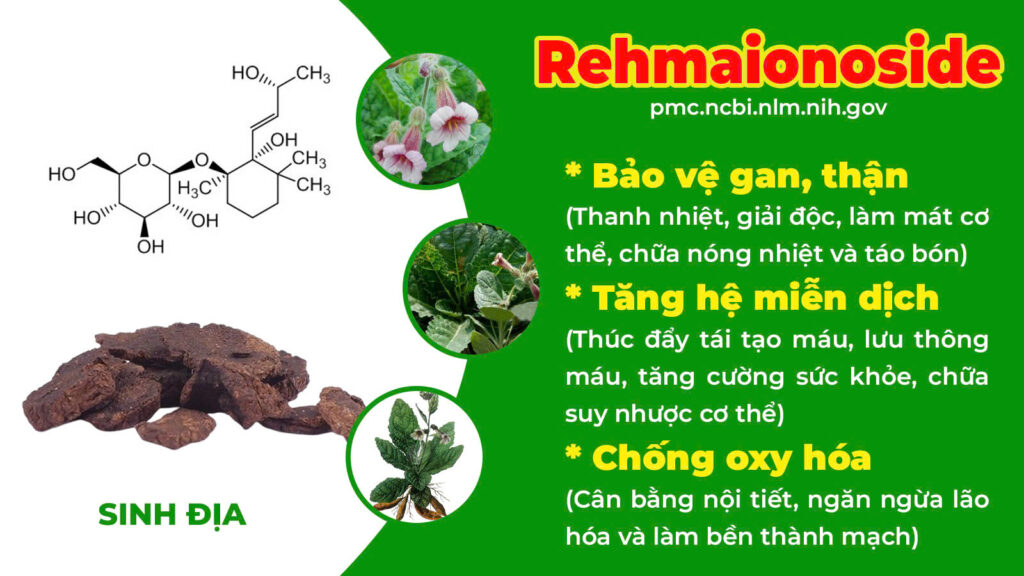 Thành phần hoá học Nhuận tràng 