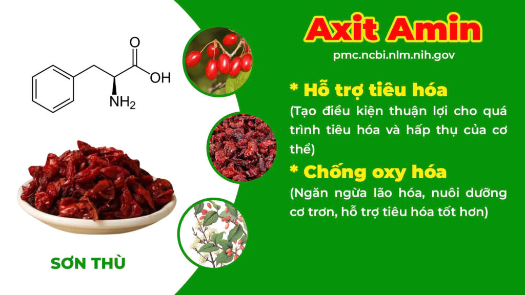 Thành phần hoá học Nhuận tràng 
