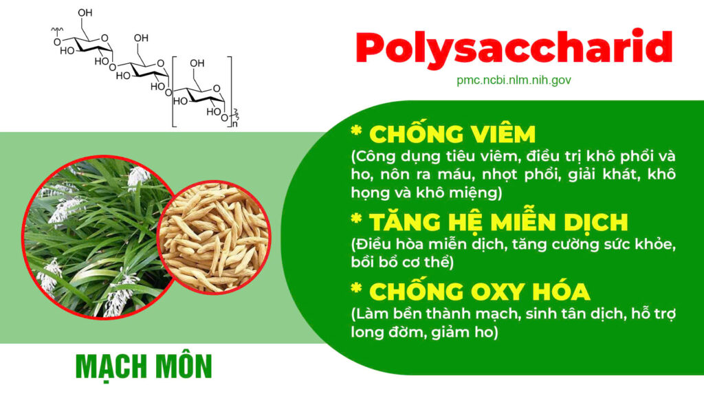 Thành phần hoá học bổ phế nâu