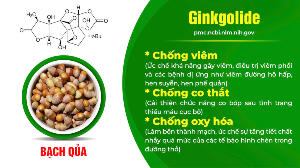 Thành phần hoá học cốm hen suyễn 