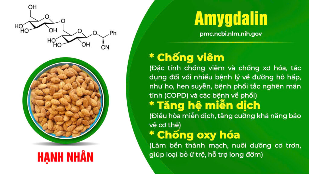 Thành phần hoá học cốm hen suyễn 