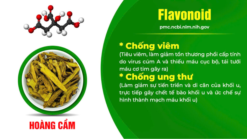 Thành phần hoá học cốm hen suyễn 