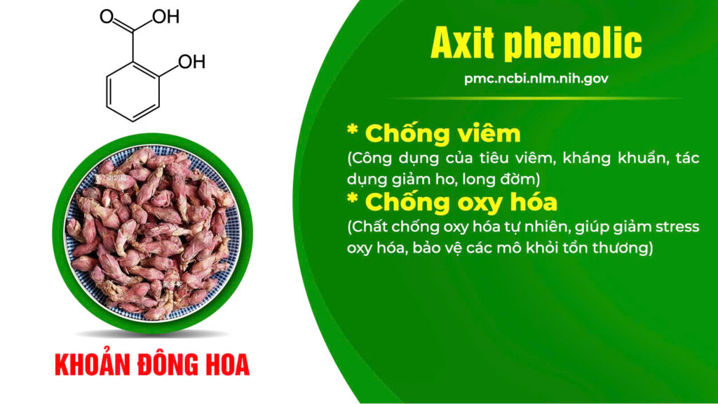 Thành phần hoá học cốm hen suyễn 