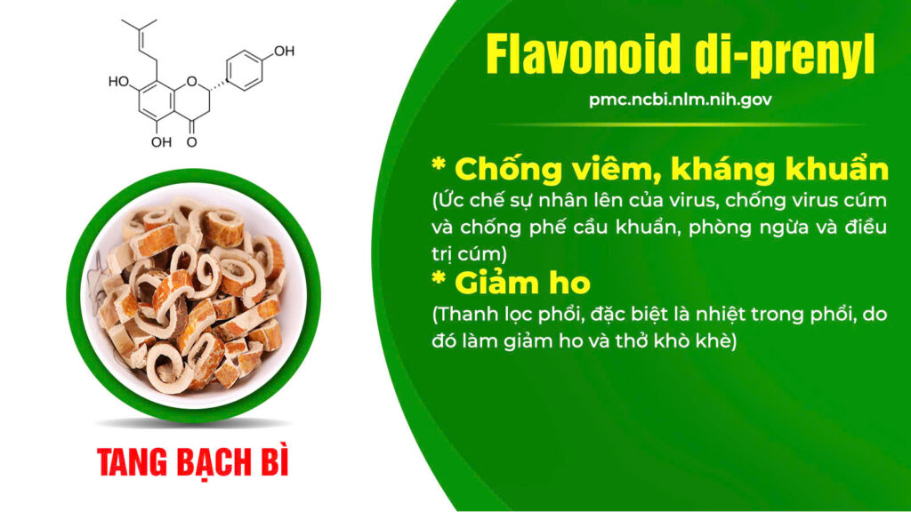 Thành phần hoá học cốm hen suyễn 