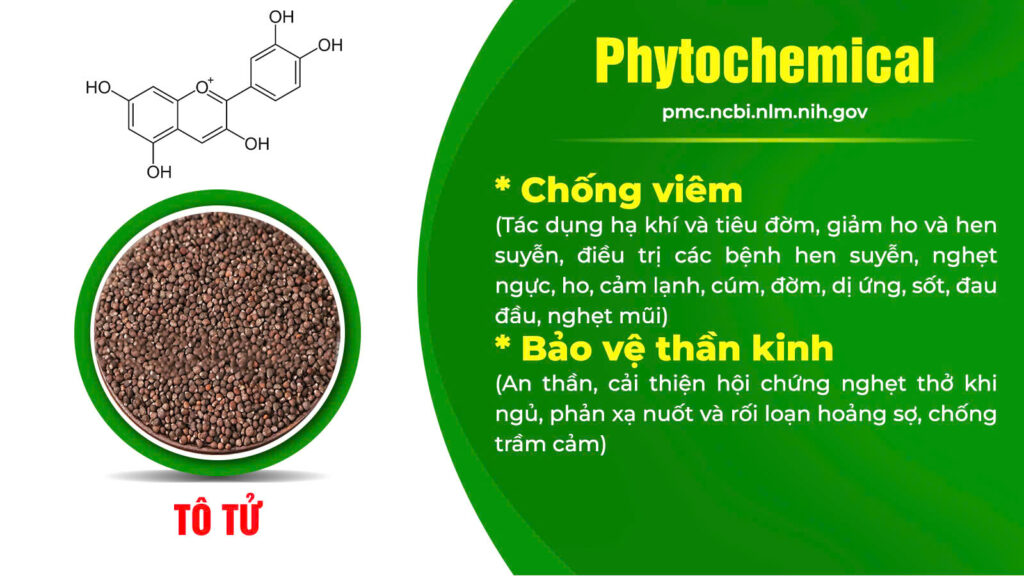 Thành phần hoá học cốm hen suyễn 