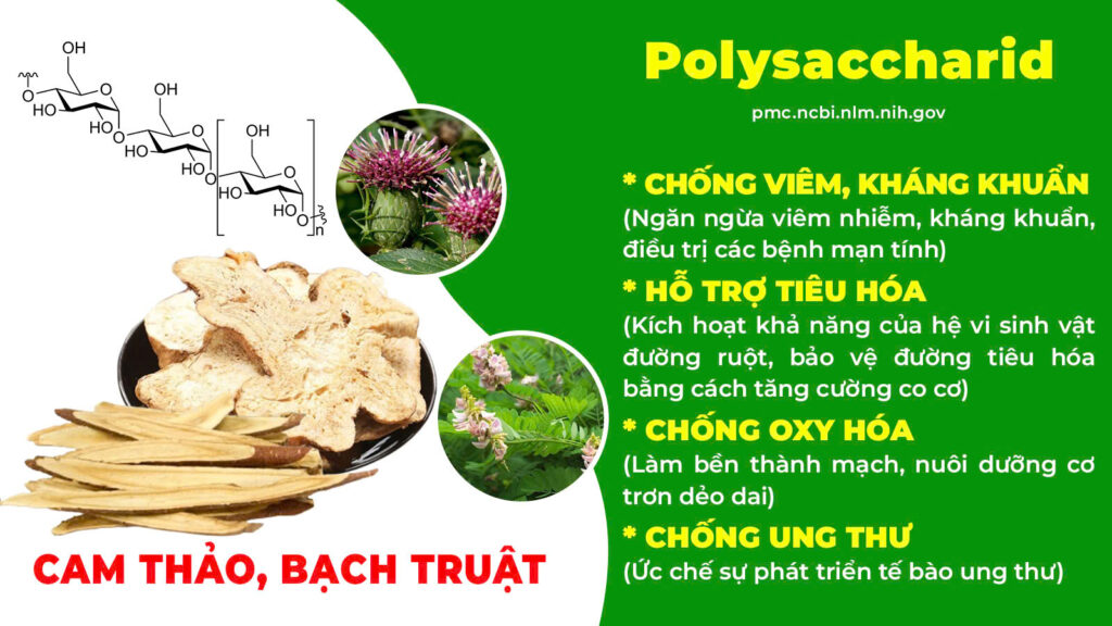 Thành phần hoá học ích khí thăng dương