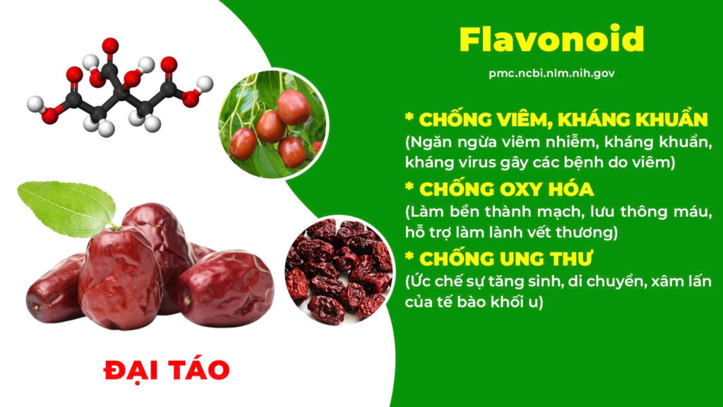 Thành phần hoá học ích khí thăng dương