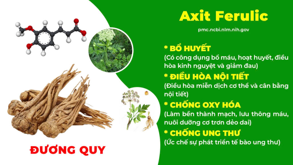 Thành phần hoá học ích khí thăng dương