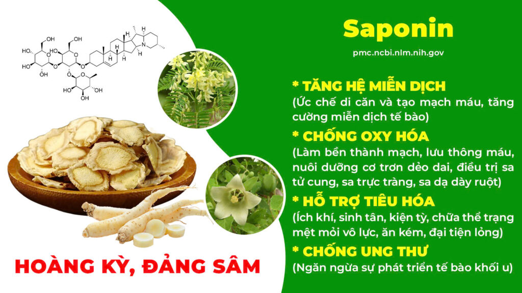 Thành phần hoá học ích khí thăng dương