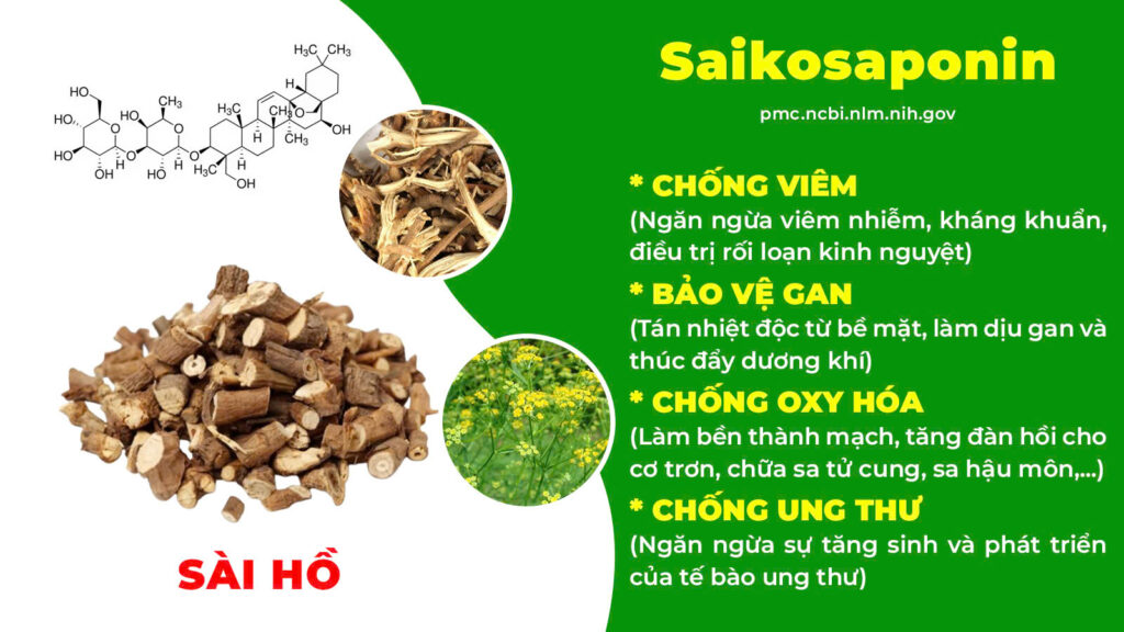 Thành phần hoá học ích khí thăng dương