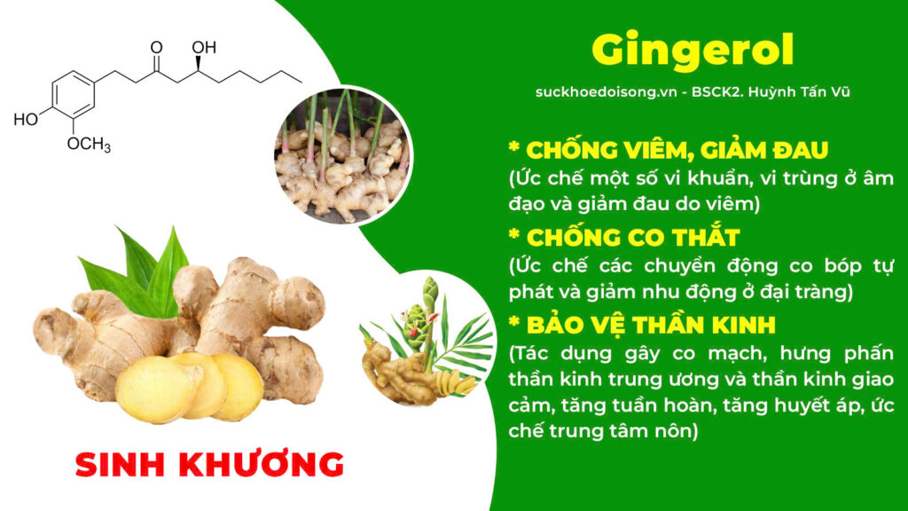 Thành phần hoá học ích khí thăng dương