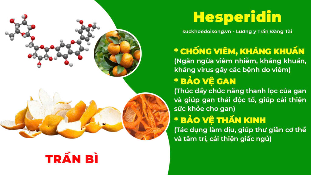 Thành phần hoá học ích khí thăng dương