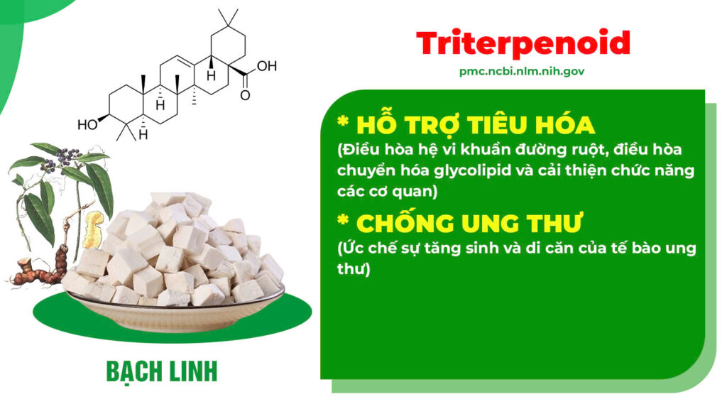 Thành phần hoá học nhuận tràng siro 