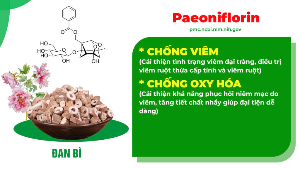 Thành phần hoá học nhuận tràng siro 