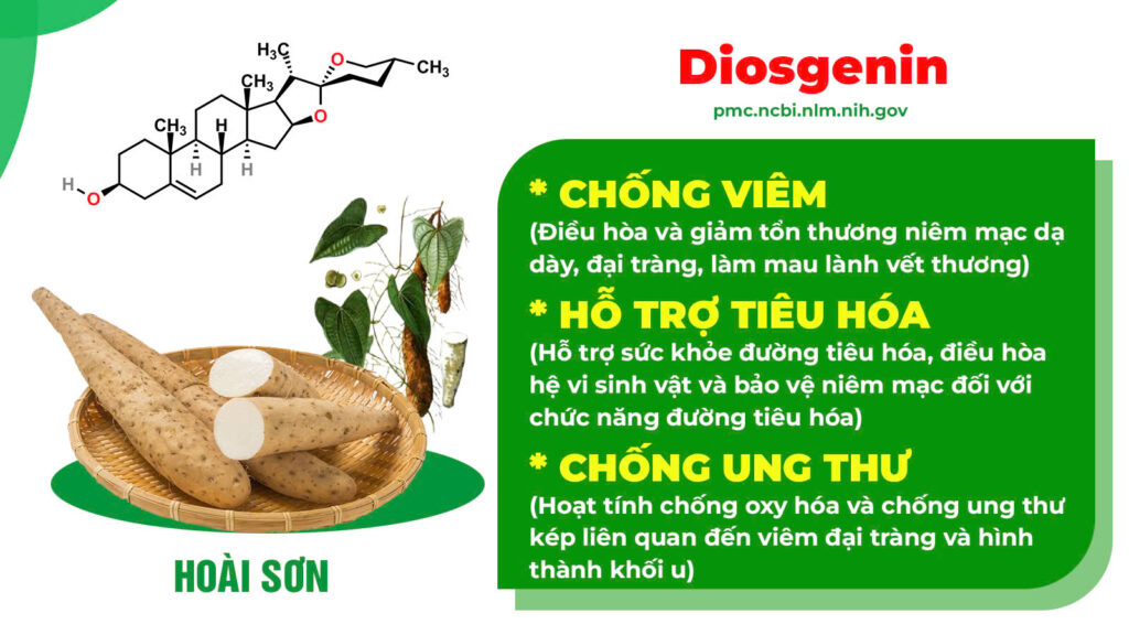 Thành phần hoá học nhuận tràng siro 