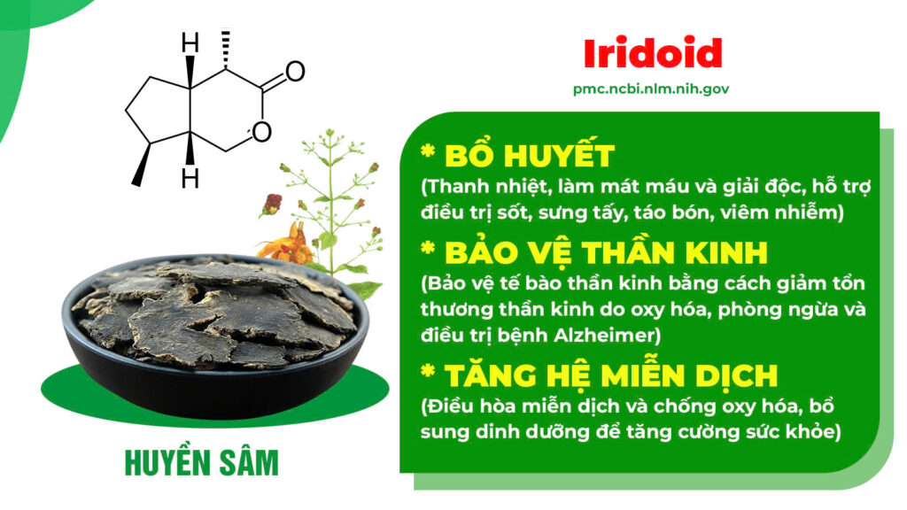Thành phần hoá học nhuận tràng siro 