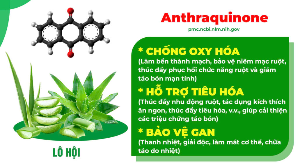 Thành phần hoá học nhuận tràng siro 