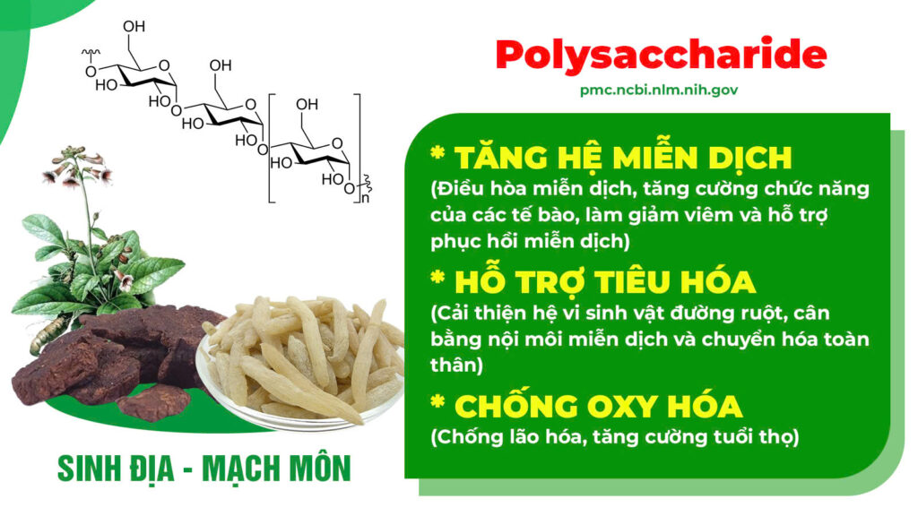 Thành phần hoá học nhuận tràng siro 