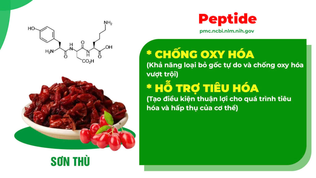 Thành phần hoá học nhuận tràng siro 