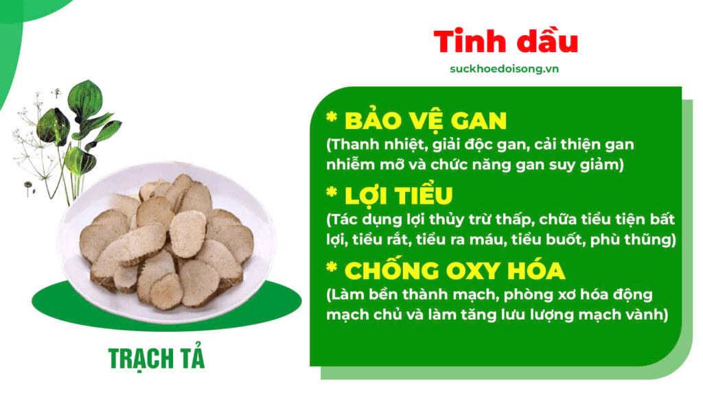 Thành phần hoá học nhuận tràng siro 