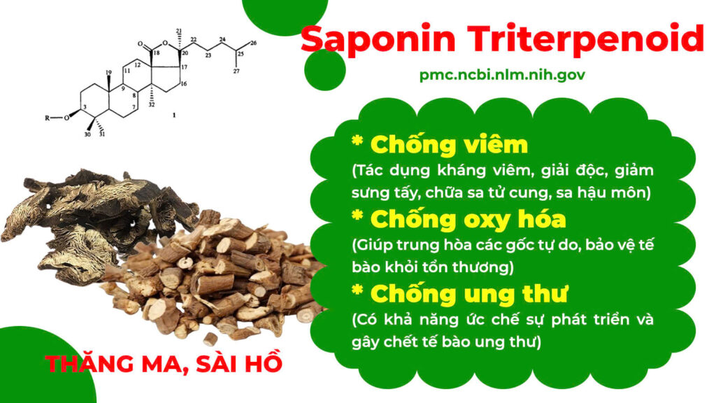 Thành phần hoá học thăng dương khí 