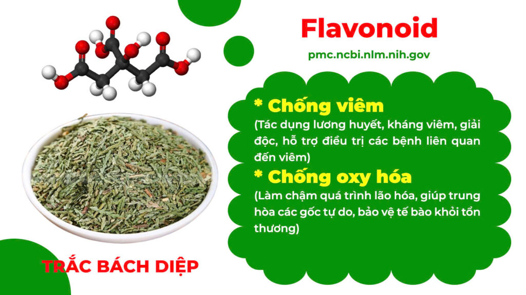 Thành phần hoá học thăng dương khí 