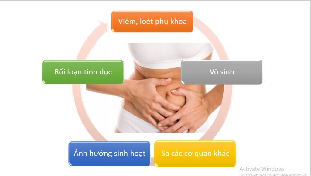 Dược phẩm PQA