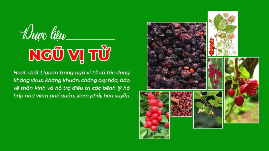 Câu chuyện bổ phế xanh