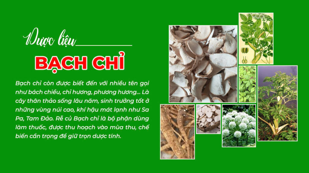 Câu chuyện thư cân