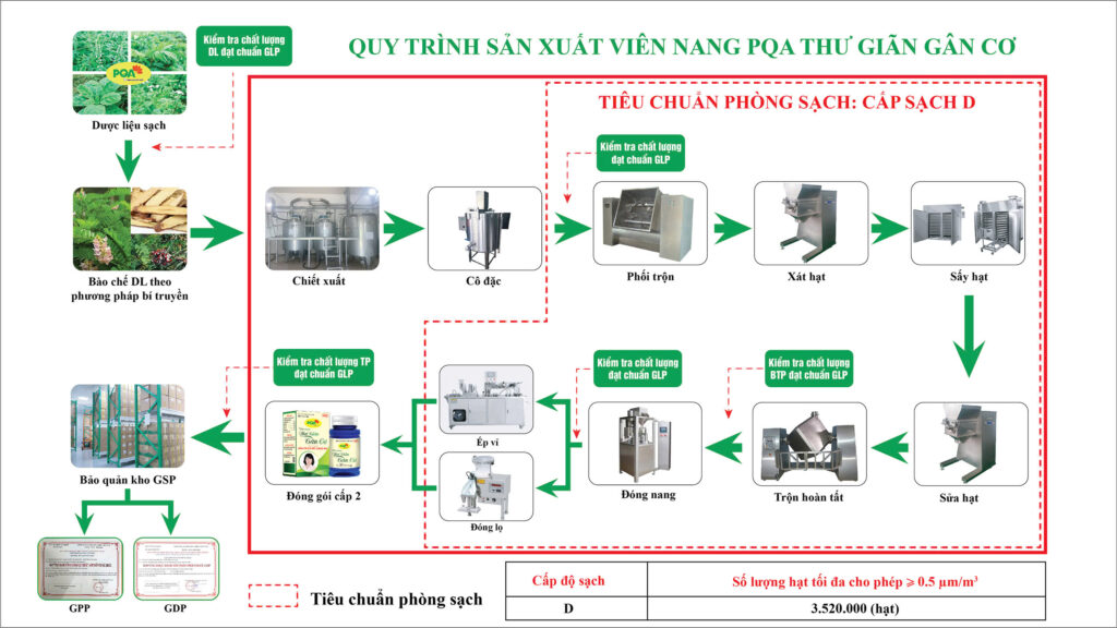 Quy trình sản xuất thư giãn gân cơ viên nang