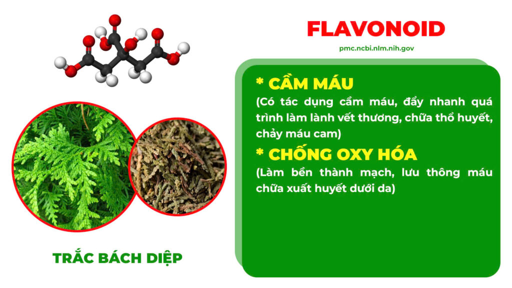 Thành phần hoá học Chỉ huyết 