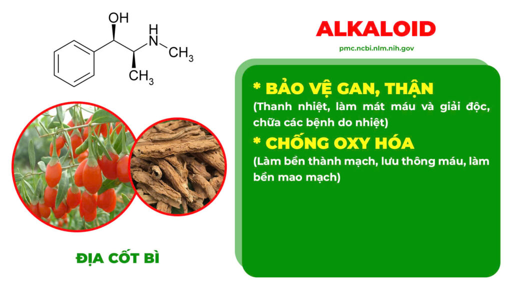 Thành phần hoá học Chỉ huyết 