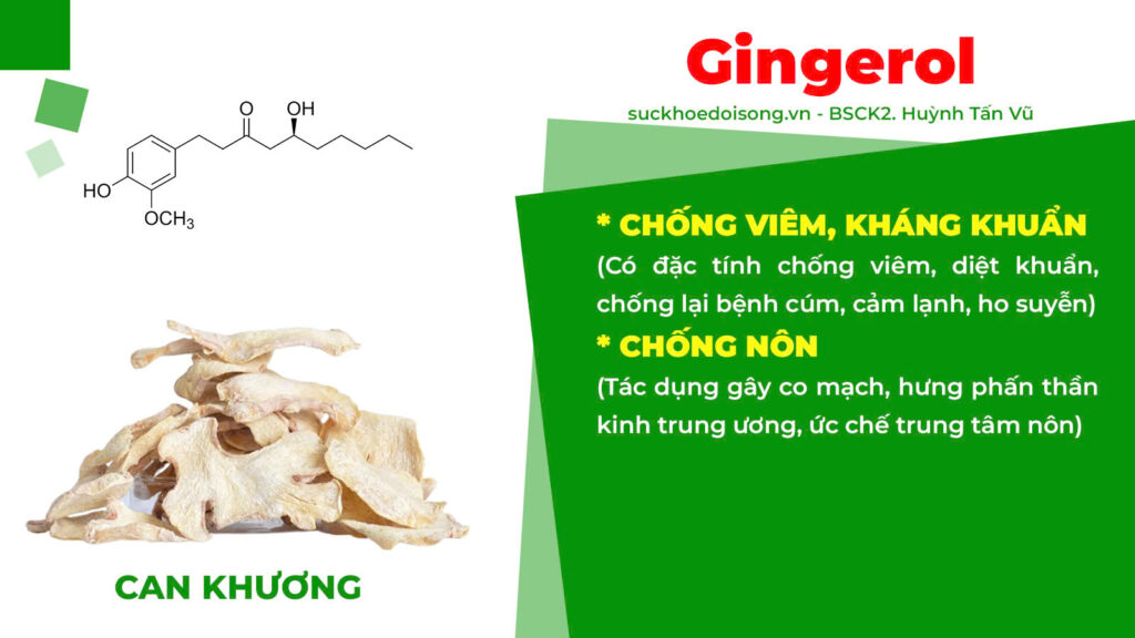 Thành phần hoá học bổ phế xanh 